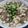 Cooksnap dari John Matthew Lim untuk resep Mun Tahu Babi Cincang Jamur