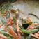 Cooksnap dari Woro untuk resep Sayur Tumis Santan (Sayur Lodeh Bumbu Iris Buncis,Wortel,Tempe)