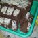 Cooksnap dari Rani Permatasari untuk resep Blackforest Kukus Sederhana