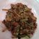 Cooksnap dari arinie.dyanah untuk resep Siput laut rica rica
