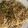 Preety's cooksnap of when they made Veg hakka noodles.