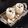 Jyoti Prakash Assudani's cooksnap of when they made Chikoo Shake.