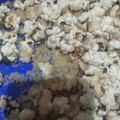 El cooksnap de Nestor Veliz cuando hizo Pochoclo, palomita de maíz, poro ro ❤️🍿.
