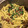 Marie Barton's cooksnap of when they made Spinach and Sausage Pasta.