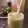 Cooksnap dari Dini untuk resep Morning juice