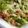 Deezah Sulaiman Omar's cooksnap of when they made Potato salad with beetroot.