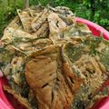 Cooksnap dari Lazy Cat untuk resep Keripik Bayam