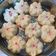Cooksnap dari Endang Zhang untuk resep Bakpao lembut(layak jual)