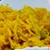 Mamta Shahu का कुकस्नैप जब उन्होंने मसाला भात(masala bhat recipe in hindi) बनाया था।