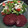 El cooksnap de patricia flocco cuando hizo Hamburguesas de remolacha [aptas veganos].