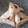 El cooksnap de havimi cuando hizo Empanadas árabes con masa casera 🤪.