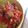 Cooksnap dari Dapurnyasukma untuk resep Dendeng Balado