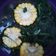 Cooksnap dari Umi Abidah untuk resep Jangan Bayam/ Bening Bayam