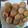 El cooksnap de Manel Kingsnake cuando hizo Galletas para el café.