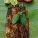 Cooksnap dari Eli Yana DL untuk resep SATE AYAM PEDAS MANIS Empuk meresap + tips (#pr_sate)