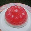 Cooksnap dari Mama Snacker untuk resep Puding Lumut Merah Putih