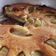 El cooksnap de el gordosaurio cuando hizo Torta de manzana 🍎 y yogurt.