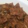 Cooksnap dari Nia untuk resep Beef Teriyaki ala Hokben
