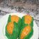 Cooksnap dari rkive untuk resep Pao Karakter