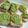 El cooksnap de Gime G cuando hizo Paté de palta 🥑.
