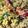 anthony.t.duong's cooksnap of when they made Vickys Rainbow Cous Cous, GF DF EF SF NF.