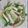 陳伽瑜 的 青江菜炒豆包 cooksnap