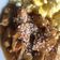 Cooksnap dari Eggy R Yuniar untuk resep Spicy Chicken Teriyaki