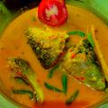 Cooksnap dari Annisa Eka Putri untuk resep Gulai Kakap