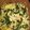 El cooksnap de Jorge Vergara cuando hizo Rajas poblanas con pollo en crema de elote.