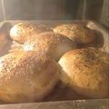 El cooksnap de Lusiel cuando hizo Pan para hamburguesa 🍔.