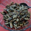 Cooksnap dari kavitaRosaliDevi96 untuk resep Tumis kerang ijo pedas kering simple