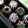 Cooksnap dari "Pawoen_vadyl" untuk resep eggless moist chocolate cake