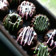 Cooksnap dari "Pawoen_vadyl" untuk resep eggless moist chocolate cake