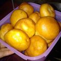 Cooksnap dari Ayu Anggriani Ayya untuk resep Donat murah 1000an
