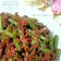 Cooksnap dari euisfebriyanti untuk resep Baby buncis cah daging giling