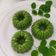 Cooksnap dari Lilis Yudiar untuk resep Puding Lumut Daun Kelor (nangka)