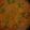 Vanika Agrawal's cooksnap of when they made Fish Curry.
