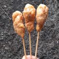 Cooksnap dari Vdede untuk resep Sempolan Ayam Sayur