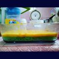 Cooksnap dari Wulan Ouzher untuk resep KETAN MANGGA LUMER