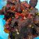 Cooksnap dari Irma Prabawanti untuk resep Balado dendeng kering batokok