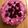 Sophie V.'s cooksnap of when they made Käsesahne mit Waldbeeren.
