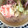 El cooksnap de Grass cuando hizo Helado de chocolate con Coca/ helado flotante.