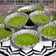 Cooksnap dari Tarie Indah Soeparno untuk resep Srikayo Palembang
