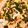 Sin Tung Karen Hung 的 蝦仁豆腐蒸蛋 cooksnap