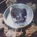 Cooksnap dari iza Romli (QiuQitchen) untuk resep Kofta Kebab (1)