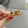 Cooksnap dari Kurnia Mustika untuk resep Oat choco cookies