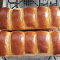 Cooksnap de Henrieta Gomes quando cozinhou Pão de leite de Hokkaido.
