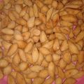 Cooksnap dari Septi Laras untuk resep Biji ketapang super empuk, gurih dan renyah