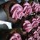 Cooksnap dari Sienny Himawan untuk resep Cupcake ekonomis 2 telur enak bingit (Buttercake dasar NCC) ala vietta ranie