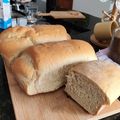 Cooksnap de Silvio Henrique Segala quando cozinhou Pão caseiro com Fermento Biológico Seco.